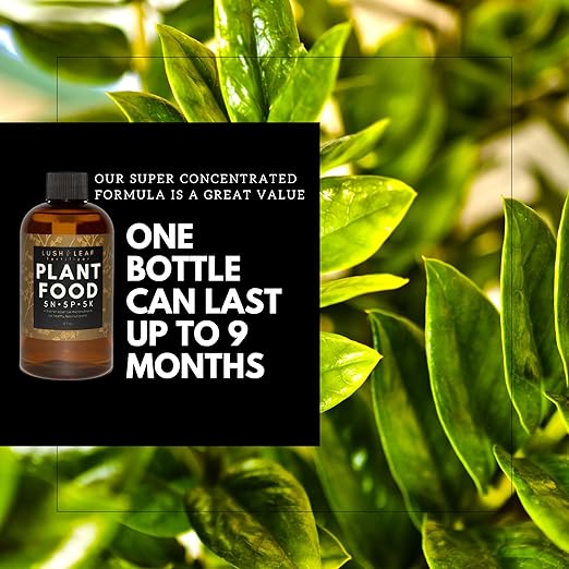 Lush Leaf | Plant Food (Indoor)