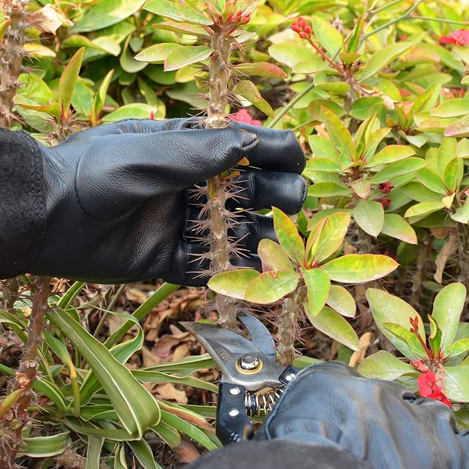 Gardening Gloves, Professional Puncture Proof Gloves for Rose Pruning & Cactus Trimming, Long Leather Garden Gloves Gifts for Women & Men- Full Grain Pigskin (Thorn Proof) (Large, Black)