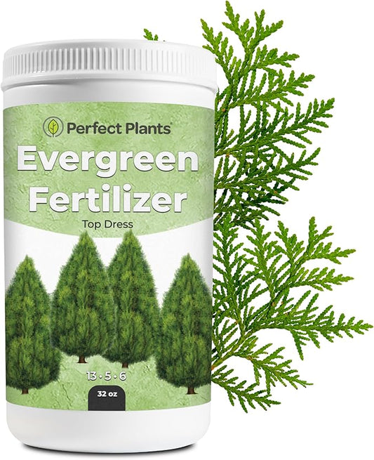 Evergreen Fertilizer by Perfect Plants | Top Dress Slow Release granular Tree and Shrub Food | Great for Arborvitae, Boxwood Shrubs, or Juniper (32oz)