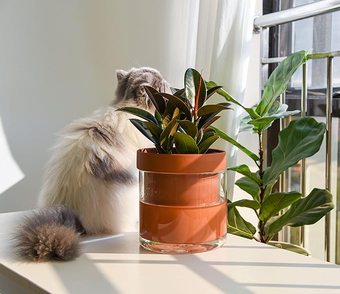 Phoenix Vine 4 Inch 6 Inch Self Watering Planter Pots, Terracotta Clay Pots with Glass Reservoir for Indoor Plants, Herbs, Flowers, 52-A-G-46