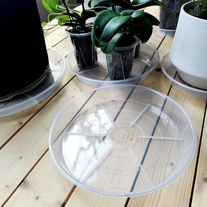Clear Plant Saucer 6 Pack 8 inch, Heavy Duty Round Plastic Plant Tray Saucers for Indoors Outdoors Garden, Flower Planter Water Drip Trays for Pot, Plant Dishes Saucer (8", Clear)