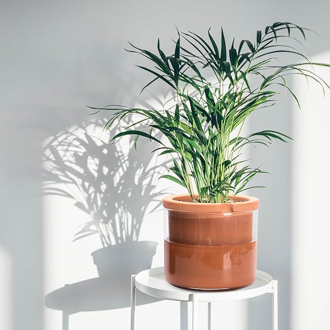 Phoenix Vine 8 Inch Self Watering Planter Pots, Design White Terracotta Pots for Plants, Indoor Cylinder Terra Cotta Pots with Glass Vase, Set of 1, 51-A-H-1