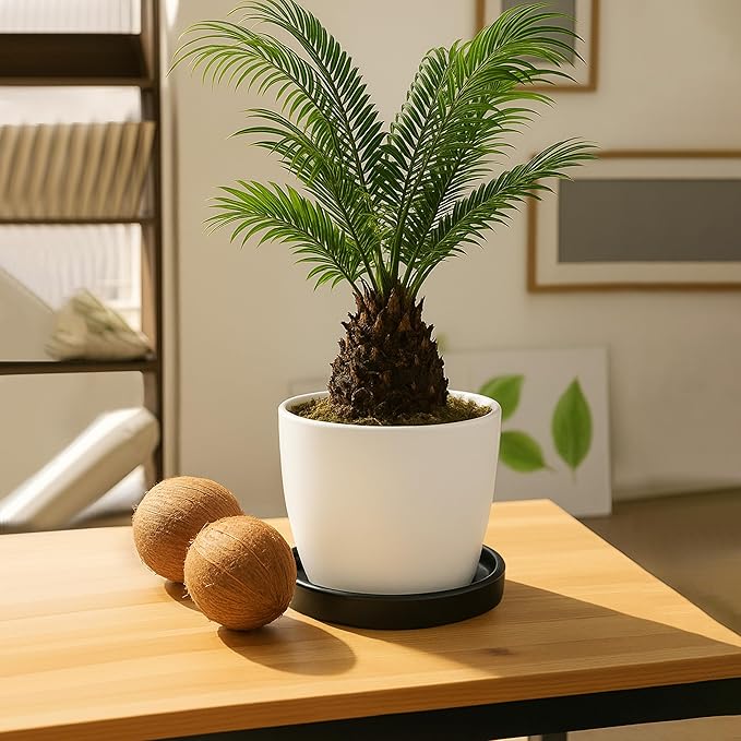 D'vine Dev Modern Round 7.1 Inch Ceramic Plant Pot Saucer, Planter Pot Drainage Tray for Indoor Plants, Matte Black, 97-T-B-3