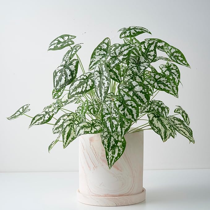 4 inch Plant Pot - Terra Cotta Flower Planters Indoor - Modern Succulents Containers with Drain Hole & Saucer, Decorate Home, Office (Pink)