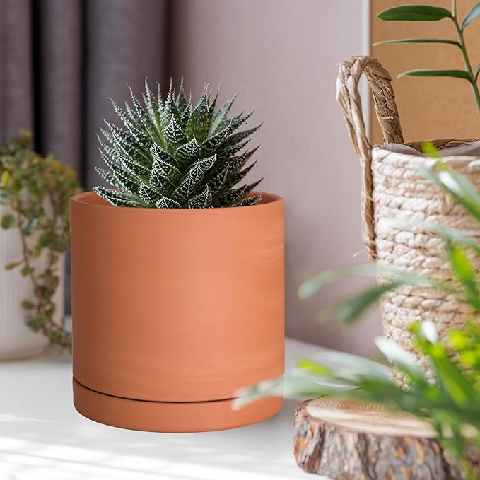 D'vine Dev X-Small 4 Inch Terracotta Plant Pot with Drainage Hole and Saucer, Round Cylinder Planter Pot for Indoor Plants, Set of 2, 40-X-B-1