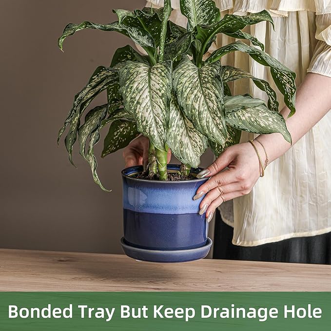 5.8 Inch Plant Pot: Ceramic Planter with Drainage Hole & Saucer for Indoor Outdoor Plants - Flowerpot with Bonded Tray for Home Office - Blue Reactive Glaze