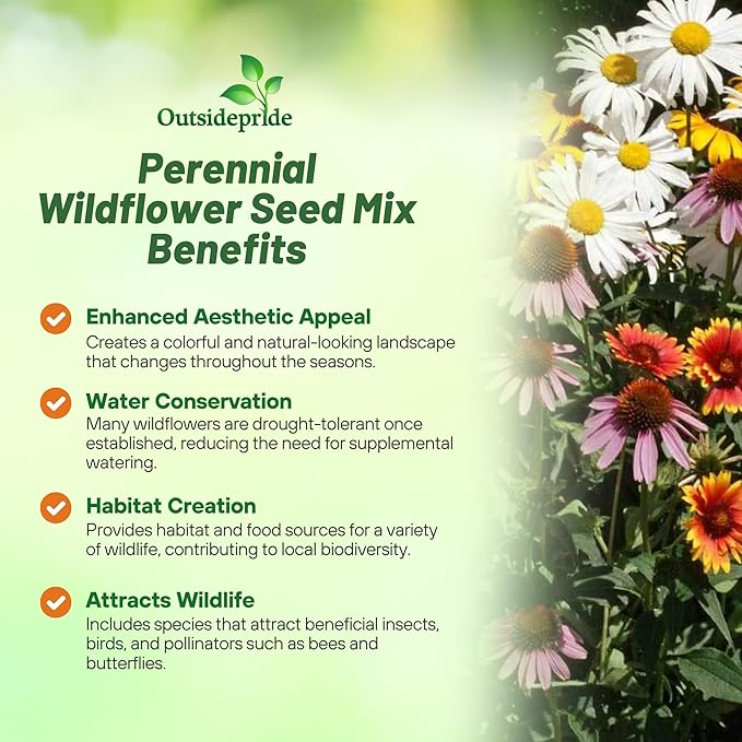Outsidepride Perennial Wild Flower Seed Mix - 1 lb. Diverse, Long-Lasting Blooms, Easy to Grow Perennial Flower Seeds for All States, Perfect for Home Gardens, Landscapes, and Attracting Pollinators