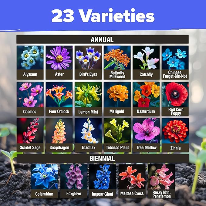 HOME GROWN Wildflower Seeds – 134,000+ Pure 𝗡𝗢𝗡-𝗚𝗠𝗢 𝗨𝗦𝗔 Seeds, No Filler – 23 Varieties Bulk Mix (3oz) for Birds & Butterflies – Annual & Perennial Wild Flowers for Fall Garden Planting