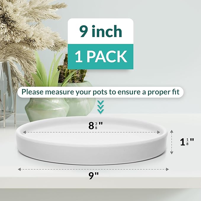 Willowy Matte White Ceramic Pot Saucer - Drainage Tray for 6, 7, 8, 9 Inch Planters + More Sizes
