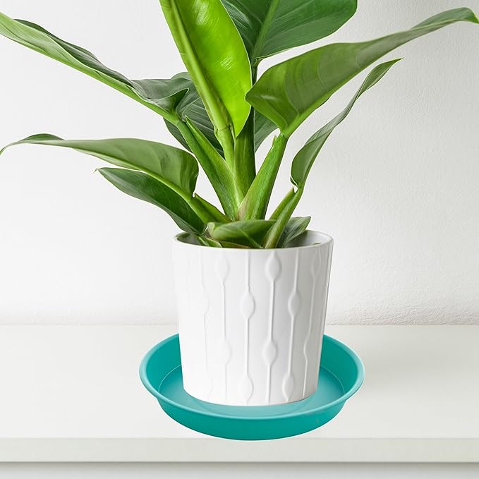 4 Pack of 14 inch Plant Saucers Bird Bath Bow Round, Plastic Plant Saucer Tray for Pots, White Planters for Indoor Plants, Plant Trays for Planter 12-15" (14", Teal)