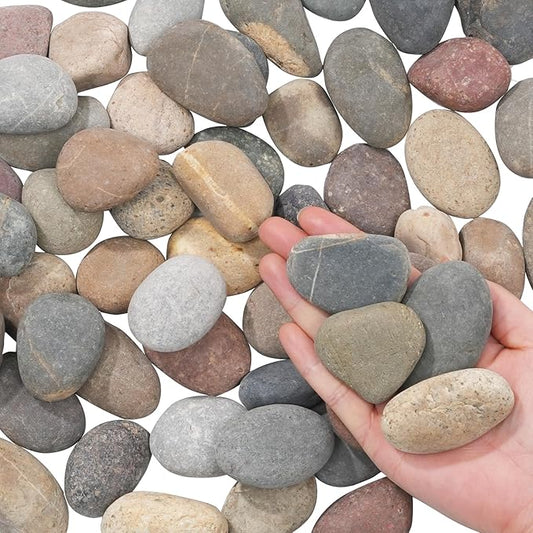 Natural River Rocks-10 lbs of Pebbles and River Stones,2-3 Inch Plant Rocks for Landscaping,Garden Paving,Crafting,Walkways,and Outdoor Decorative Stone,Mexican Beach River Rocks