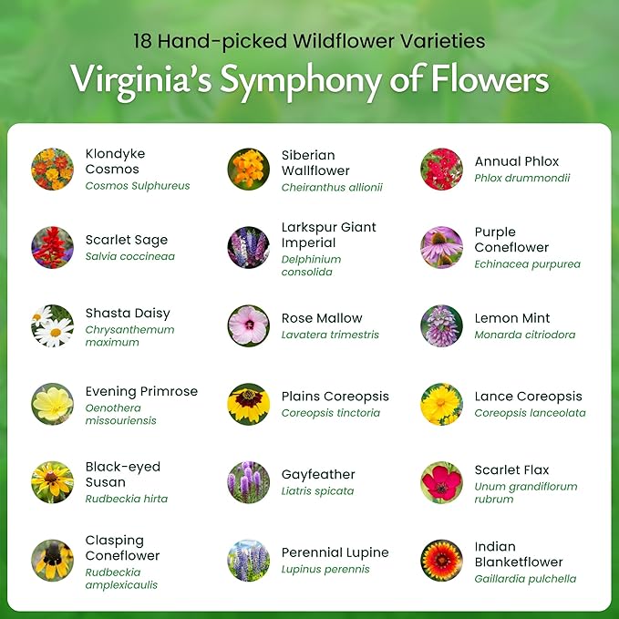 Created By Nature Virginia Wildflower Seed Mix, 18 Flower Varieties, 35,000+ Seeds