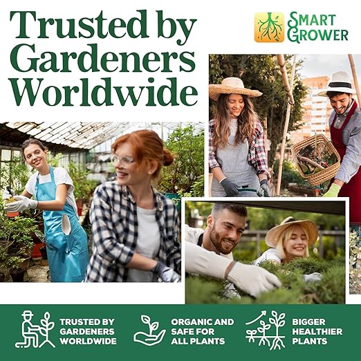 Organic Plant Food with Beneficial Microbes, Fast Acting Vegan Fertilizer for Vegetable Garden, Outdoor & Indoor Plant Fertilizer, Miracle Growth for Plants Concentrated 250GR 2-Pack Makes 60 Gallons