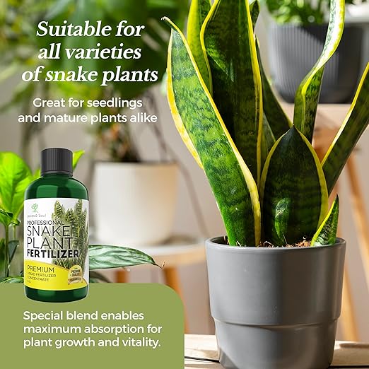 Professional Liquid Snake Plant Fertilizer | 3-1-2 Concentrate for Plants and Flowers | Multi-Purpose Blend & Gardening Supplies | 8 oz Bottle
