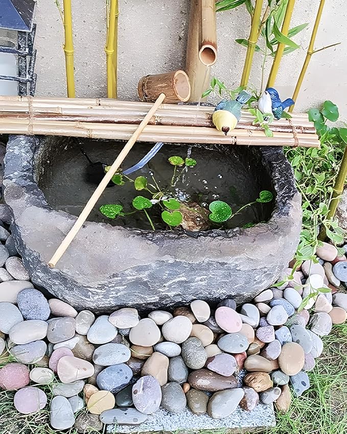 Natural River Rocks-10 lbs of Pebbles and River Stones,2-3 Inch Plant Rocks for Landscaping,Garden Paving,Crafting,Walkways,and Outdoor Decorative Stone,Mexican Beach River Rocks