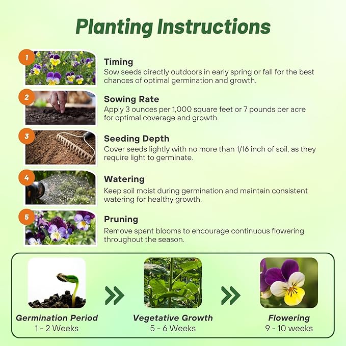 Outsidepride Johnny Jump Up Viola Wild Flower Seeds - 1/2 lb Easy-to-Grow, Compact & Hardy Perennial Seeds for Planting Outdoors, Ideal for Pollinators, Garden Beds, Containers, & Hanging Baskets