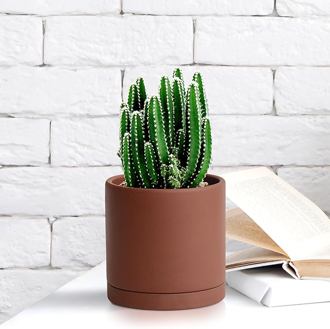 D'vine Dev 4 Inch Rust Terracotta Plant Pot with Drainage Hole and Saucer, Round Cylinder Planter Pot for Indoor Plants, 40-V-A-3