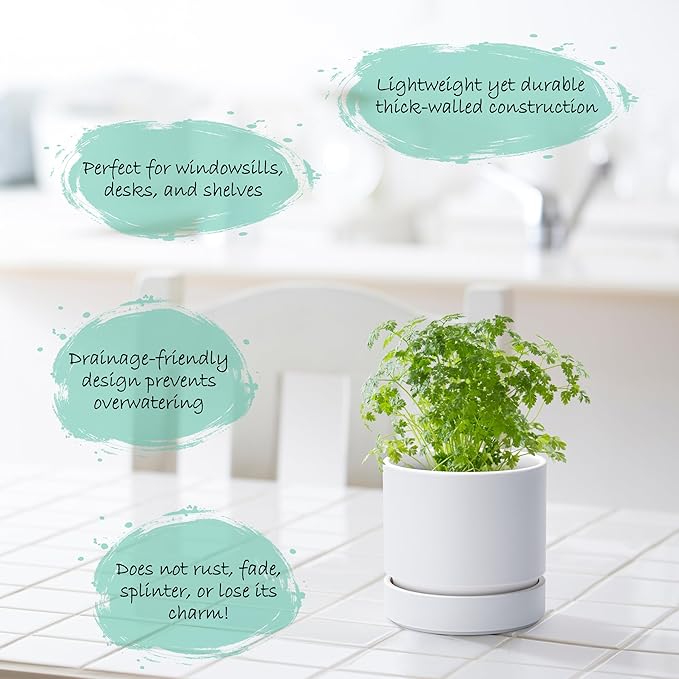 Phoenix Vine 4 Inch Planter Pot with Drainage Hole & Saucer, Deep Water Catch Tray, Straight Cylindrical Round Pot for Plants, Matte White, Pack of 2, 23-B-R-2