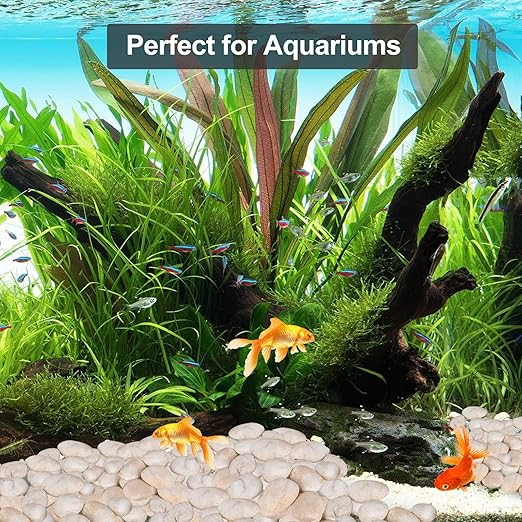 20lb Cream White River Rocks Outdoor Landscaping- Polished Pebble for Plants – Garden Decorative Stones-1-2 Large Plant Rocks,Ideal for Aquarium, Home Decor