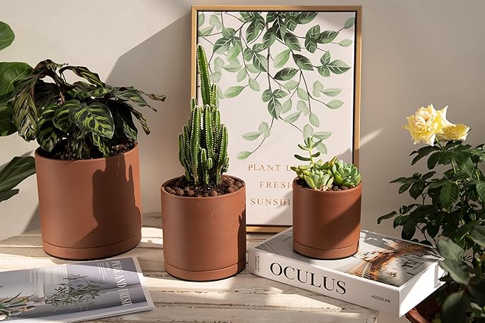 D'vine Dev Rust Terracotta Pots for Plants, 4.2 Inch 5.3 Inch 6.5 Inch, Succulent Planter Pot with Drainage and Saucer, 40-T-A-3