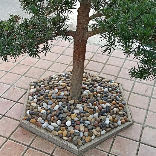 20lbs Large River Rocks for Landscaping, 3-4" Decorative Pebbles for Garden Design, Hand-Picked Smooth Stones for Fish Tank, Flower Pots, Indoor Water Fountains, Pathways, Backyard, Mixed Color