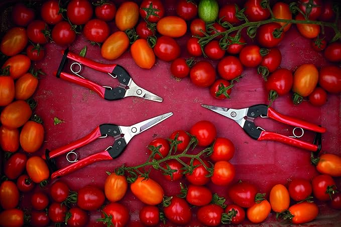 Felco F322 Pruning Snips – 9.84" Swiss-Made Garden Clippers with Curved Blade & Rounded Tip | Pruning Shears for Gardening | Garden Snips and Pruners with Carbon Steel Blade, Sap Groove