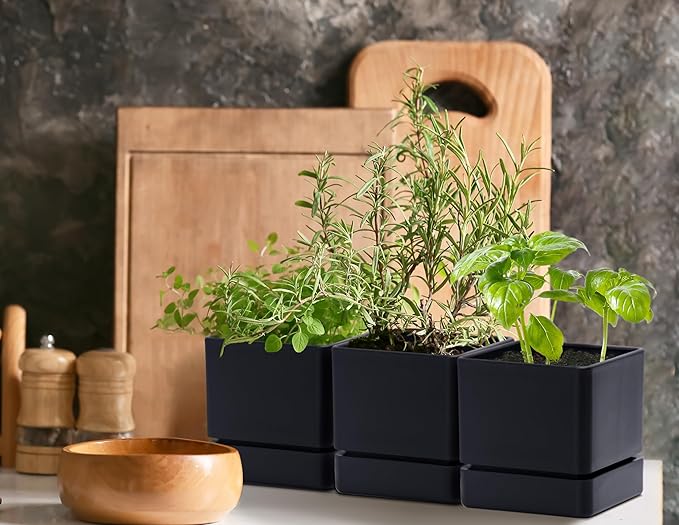 4 Inch Herb Planter Pot, Plastic Planter with Drainage Holes and Saucer, Modern Decorative Gardening Pot for Indoor Plants, Flowers, Herbs, Succulents, Black, Set of 3, 76-Y-B-3