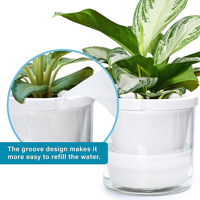 D'vine Dev 10 Inch Design Self Watering Planter for Indoor Plants, White Terracotta Pots with Cylinder Glass Cup, 37-X-D-2