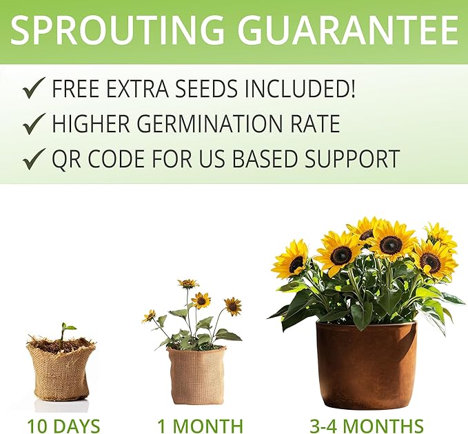 Sunflower Seeds Growing Kit – Complete Indoor & Outdoor Kit with Sunflower Seeds for Planting, Planter, Soil, Tools, Instructions – Ideal for Planting Sun Flowers at Home