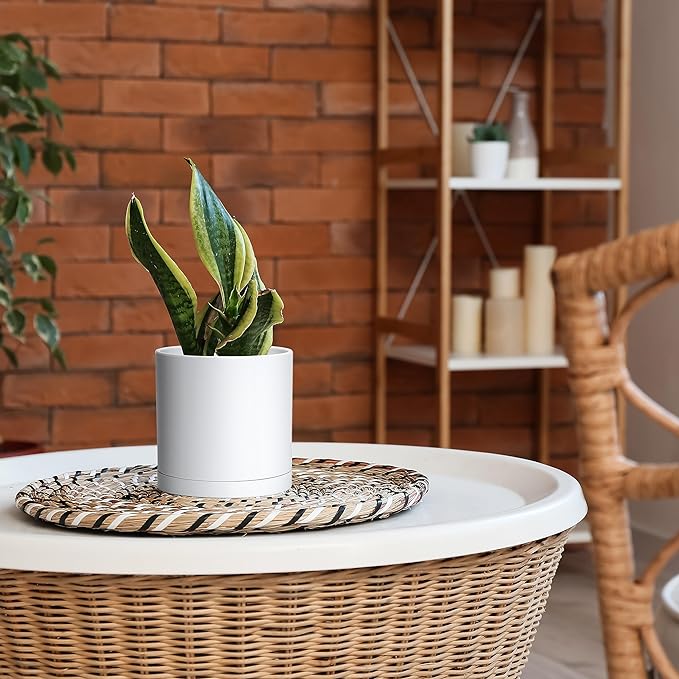 D'vine Dev 2 Pack 6 Inch Modern Plastic Plant Pots, Small Garden Planters for Plant with Drainage Holes and Saucers, White Color, 74-Z-J-1