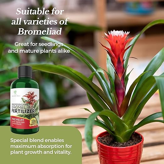 Professional Liquid Bromeliad Plant Fertilizer | 3-1-2 Concentrate for Plants and Flowers | Multi-Purpose Blend & Gardening Supplies | 8 oz Bottle