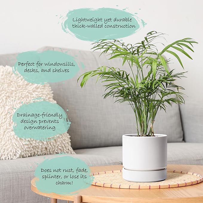 Phoenix Vine 6 Inch Planter Pot with Drainage Hole & Saucer, Deep Water Catch Tray, Straight Cylindrical Round Pot for Plants, Matte White, Pack of 4, 23-B-S-4