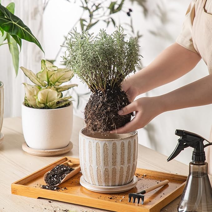 Ceramic Flower Pots Indoor-Outdoor: 5.75 Inch Planters with Drainage Holes & Saucer - Modern Decorative Plant Pots Ceramic for Home Gardeners (Striped)