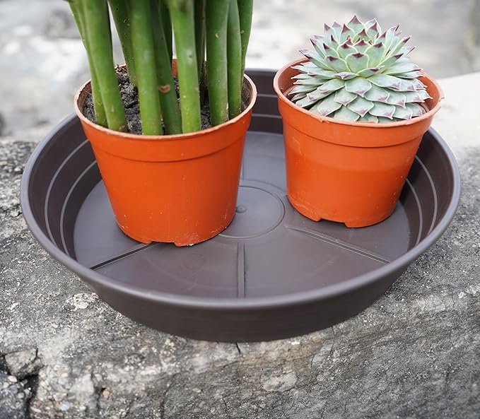 Plant Saucer 6 Inch 4 Pack 6 8 10 12 14 16 18 20 25, Plastic Plant Trays for Pots，Extra-Deep Plant Water Dray Tray, Bird Bath Bowl, Heavy Flower Plant saucers Indoors and Outdoor No Holes 6in-4 brown