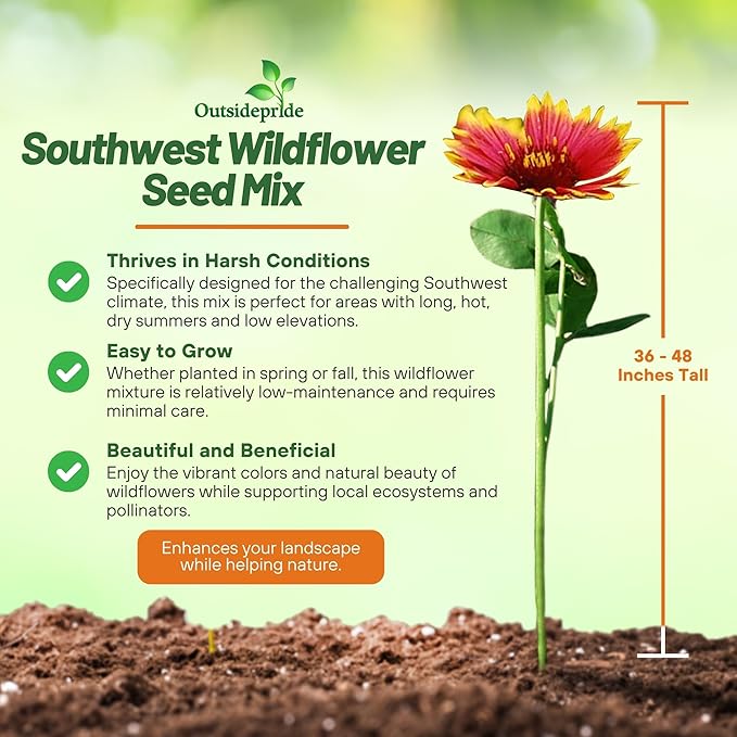 Outsidepride Southwest Wild Flower Seed Mix - 1/4 lb. Heat & Drought Tolerant Premium Blend of Annual & Perennial Wildflower Seeds for Planting on Outdoor Lawns & Gardens from Spring to Fall