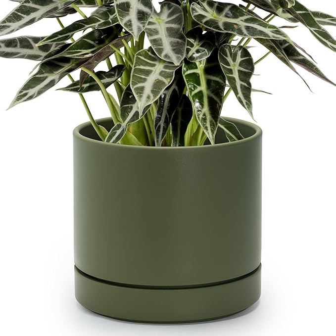 Phoenix Vine 8 Inch Planter Pot with Drainage Hole & Saucer, Deep Water Catch Tray, Straight Cylindrical Round Pot for Plants, Olive, Pack of 1, 23-F-T-1
