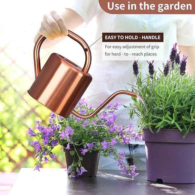 Watering Can, Stainless Steel Watering Can for Indoor & Outdoor Plants, 1L/35oz Long Spout Water Can with Handle, Rust-Proof Plant Watering Pot for House Plants, Garden Flowers