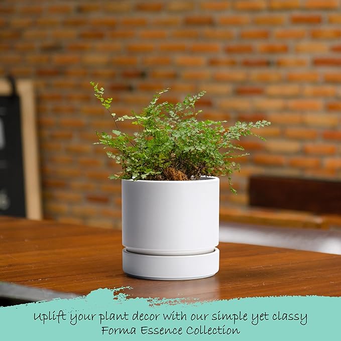 Phoenix Vine 4 Inch Planter Pot with Drainage Hole & Saucer, Deep Water Catch Tray, Straight Cylindrical Round Pot for Plants, Matte White, Pack of 2, 23-B-R-2