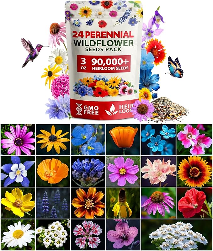 HOME GROWN 𝗨𝗦𝗔 𝗣𝗥𝗘𝗠𝗜𝗨𝗠 90,000+ Wildflower Seeds Mix 3oz 24 Varieties Non-GMO Perennial Flower Seeds for Planting Outdoors Butterfly & Pollinator Flower Mix Attract Bees Birds & Hummingbirds