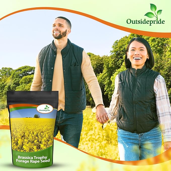 Outsidepride Trophy Forage Rape Seed - 50 Lbs Heat, Cold & Drought-Tolerant Brassica Food Plot Seed, Ideal for for Deer & Livestock Grazing, Fall Planting, Soil Improvement, & Erosion Control