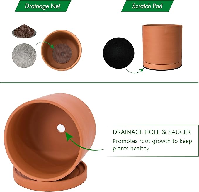 D'vine Dev Medium 8 Inch Terracotta Plant Pot with Drainage Hole and Saucer, Round Cylinder Planter Pot for Indoor Plants, 40-X-A-4