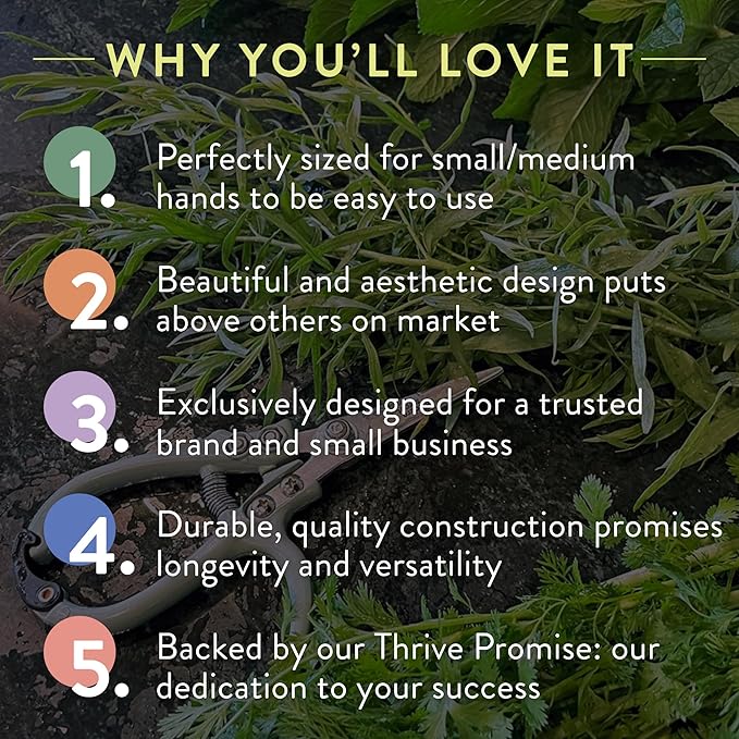 Modern Sprout Hand Pruners & Shears Set - Lightweight Gardening Tools W/Easy Lock - Sharp Carbon Steel Blades -Rust Resistant Scissors for Herbs, Flowers - Reusable Holster - Green