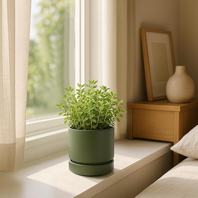 Phoenix Vine 4 Inch Planter Pot with Drainage Hole & Saucer, Deep Water Catch Tray, Straight Cylindrical Round Pot for Plants, Olive, Pack of 1, 23-F-R-1