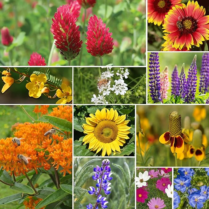 Wildflower Seeds Mix, 2 Oz, 50,000+, 28 Varieties Flowers Seeds for Planting, Annual Perennial Garden Seeds to Attract Bees, Butterflies & Birds