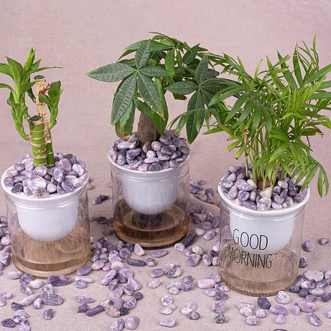 Polished Lepidolite Crystals Stone Set - 72 Pcs, 0.5" Handpicked Natural Tumbled Gemstones Rocks Agate Jasper, Pebbles for Reiki, Chakra, Healing Home Decor