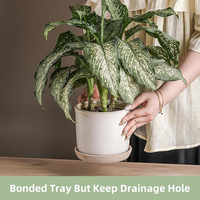 5.8 Inch Plant Pot: Ceramic Planter with Drainage Hole & Saucer for Indoor Outdoor Plants - Flowerpot with Bonded Tray for Home Office - Retro Style, Grey