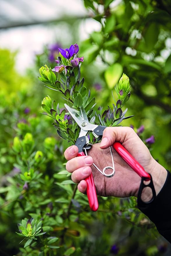 Felco F322 Pruning Snips – 9.84" Swiss-Made Garden Clippers with Curved Blade & Rounded Tip | Pruning Shears for Gardening | Garden Snips and Pruners with Carbon Steel Blade, Sap Groove