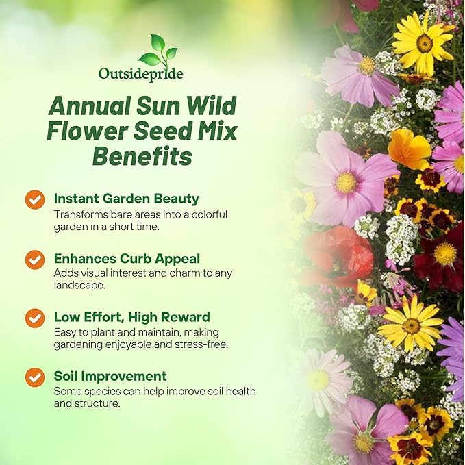 Outsidepride Annual Sun Wild Flower Seed Mix - 1/4 lb Blend of Annual Wildflower Seeds for Sunny Locations, Vibrant & Easy-to-Grow, Attracts Pollinators, Ideal for Home Gardens & Floral Displays