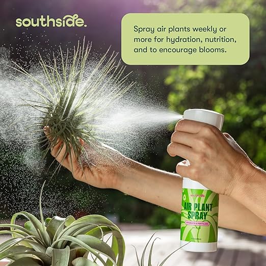Air Plant Fertilizing Spray by Southside Plants - Fertilizer Mist for Houseplants, Weekly Plant Food - Gentle Mist Formula for Miracle Feed & Grow - 7.3 oz