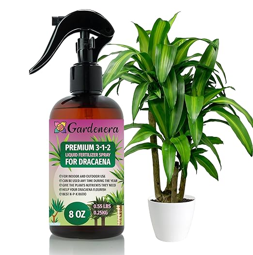 Proffesional Dracaena Spray Fertilizer Mist for Home Gardening | 3-1-2 Gentle Blend Mist for Healthy Leaves & Growth | Essential Nutrients for Dracaena Plants - 8oz